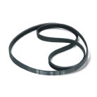 1161 J5 Bordásszíj