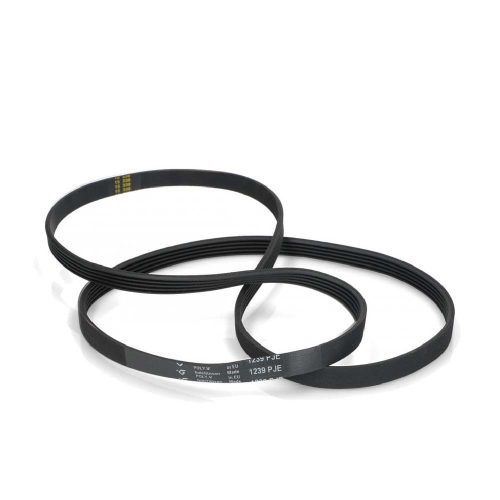 1239 J5 Bordásszíj